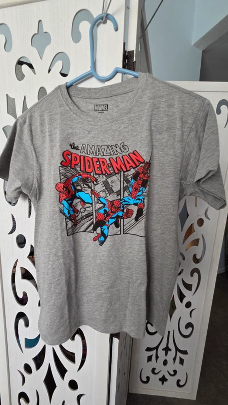 The Amazing Spider-Man Graphic T-Shirt Mens Small Grey Marvel Comic Tee NWOT